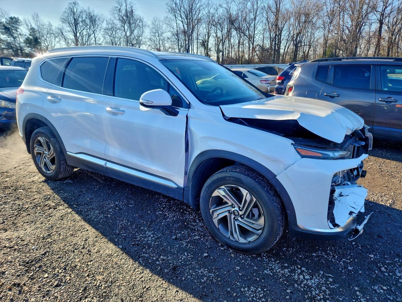 Hyundai SANTA FE Sel Image 3