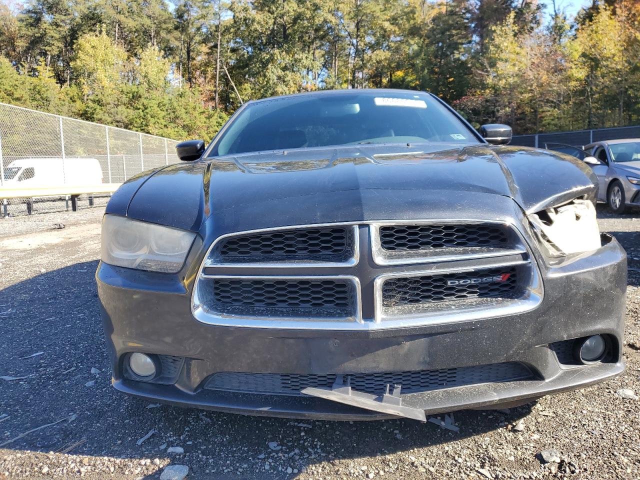 Dodge Charger R/t Image 8