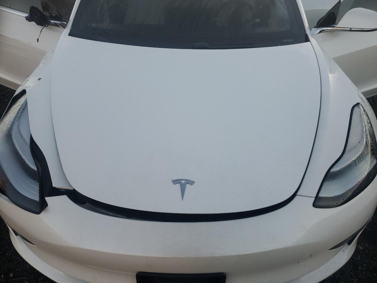 Tesla Model 3 Image 12