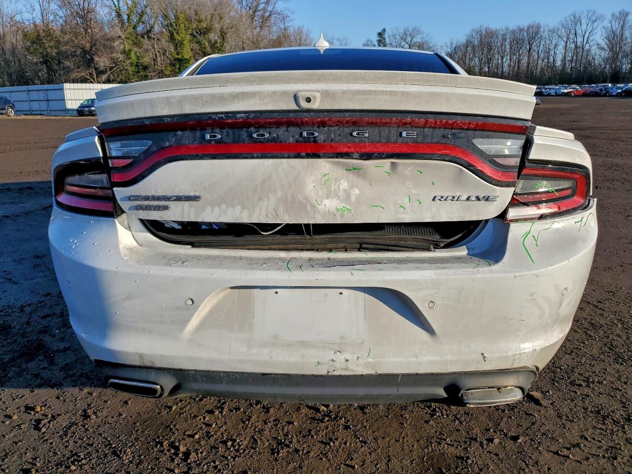 Dodge Charger Sxt Image 5