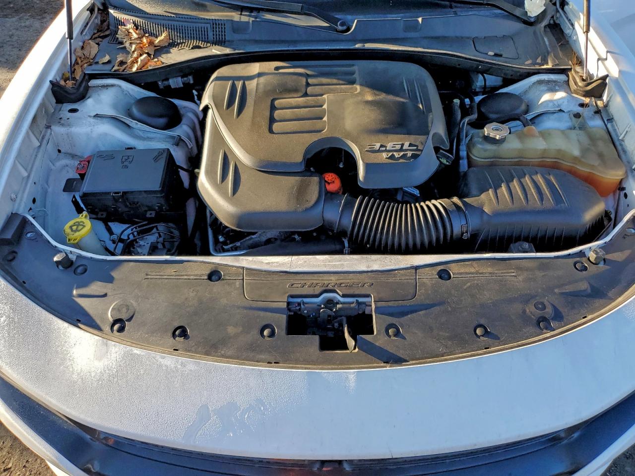 Dodge Charger Sxt Image 8