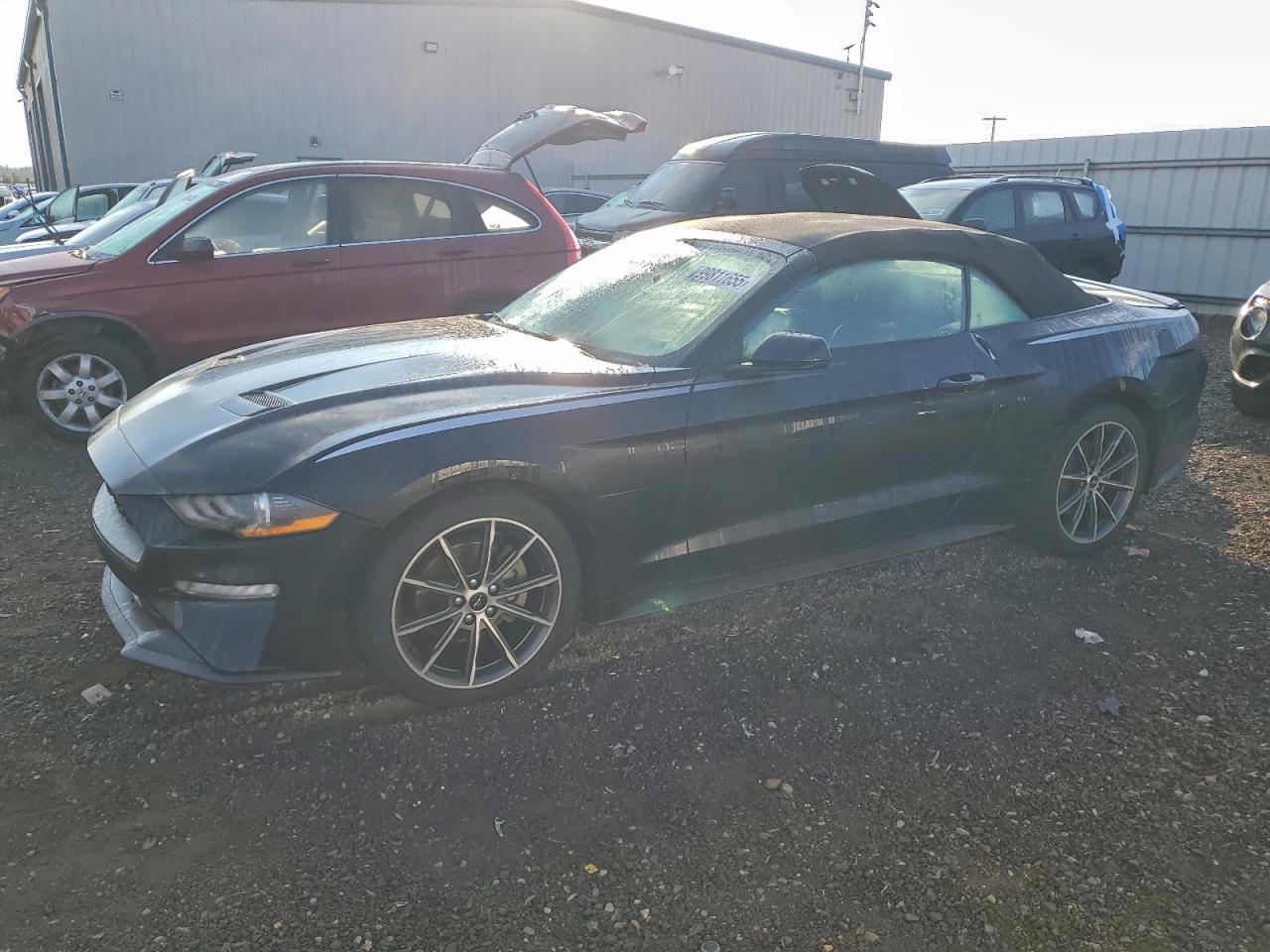 Ford Mustang Image 1