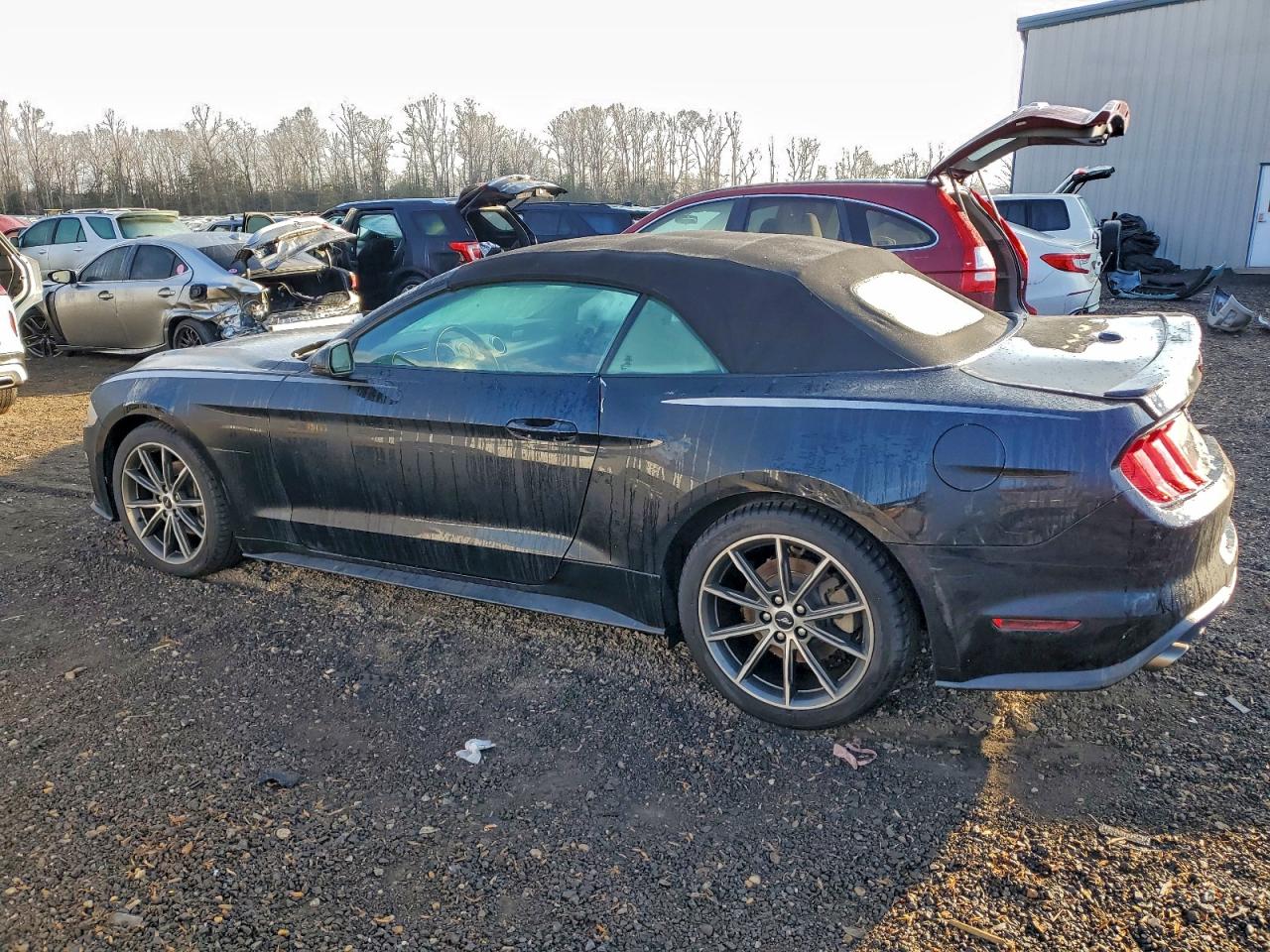 Ford Mustang Image 8