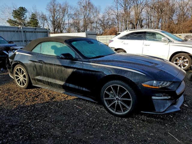 Ford Mustang Image 2