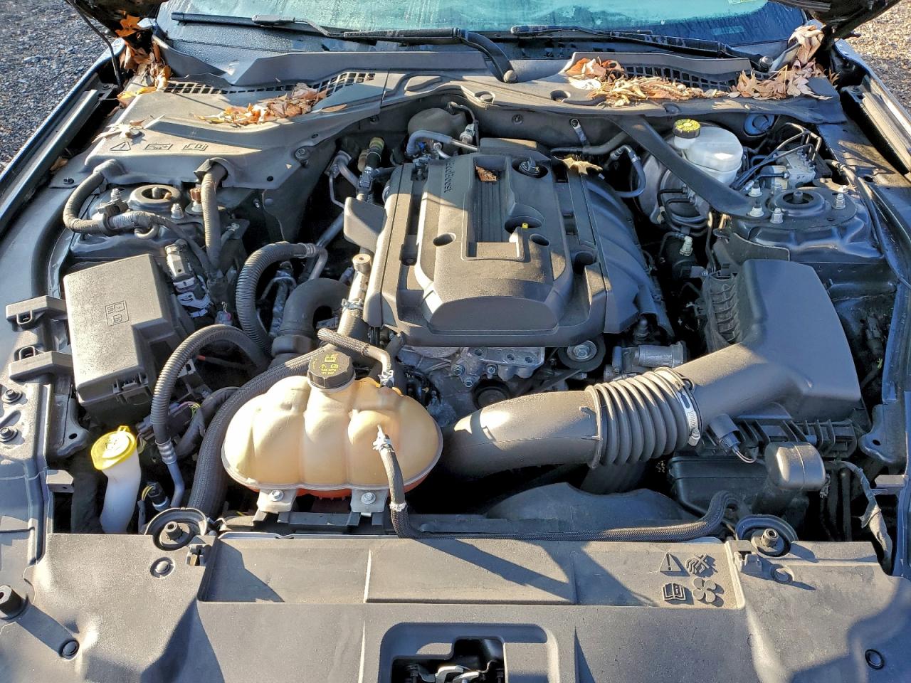 Ford Mustang Image 12