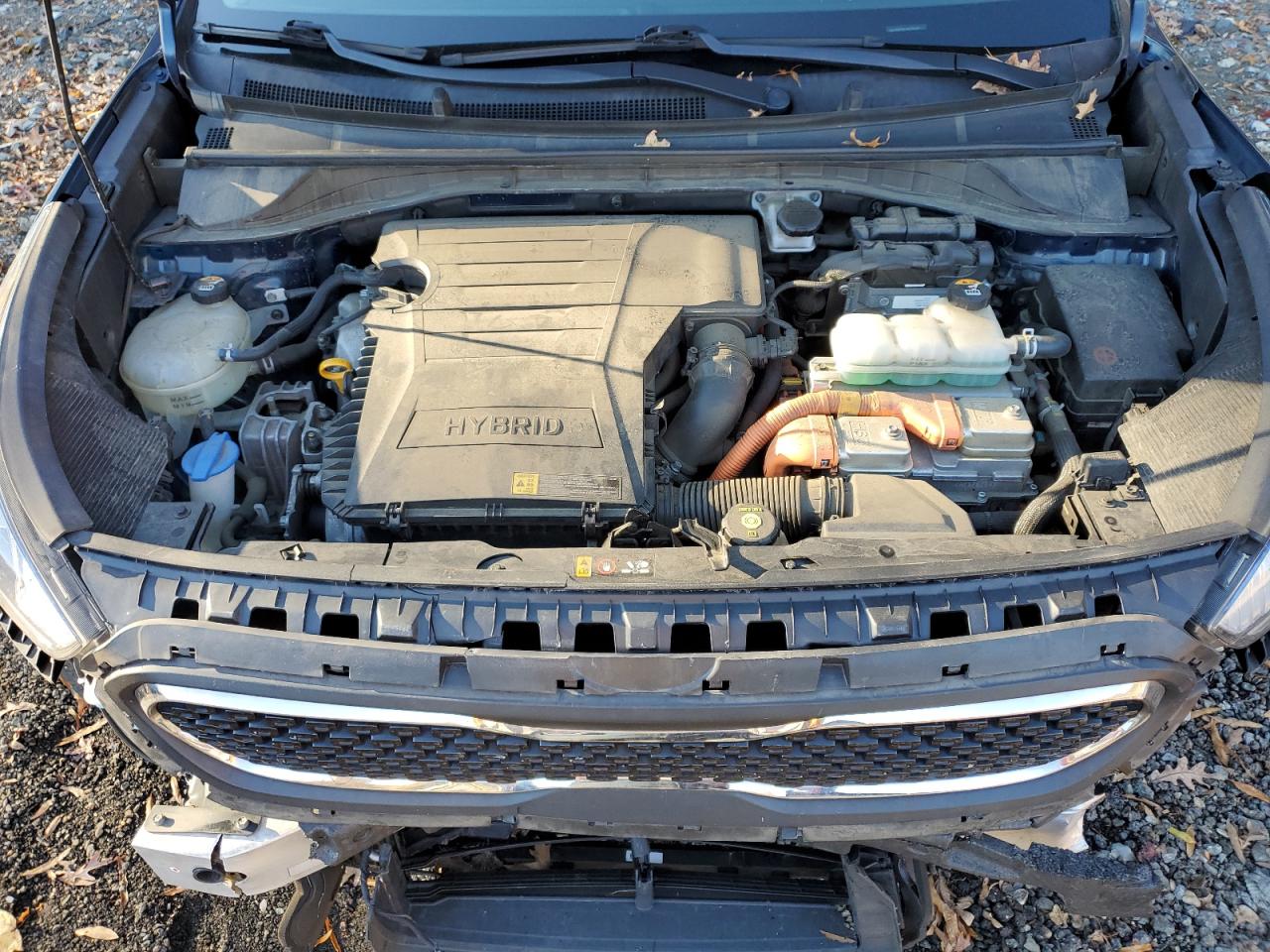 Kia Niro Fe Image 12