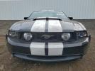 Ford Mustang Gt Image 6