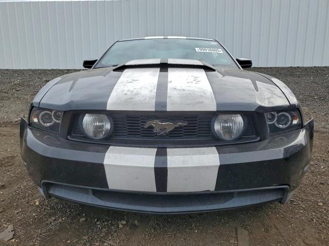 Ford Mustang Gt Image 6