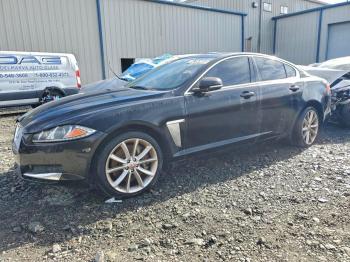  Salvage Jaguar XF