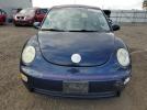 Volkswagen Beetle Gl Image 12