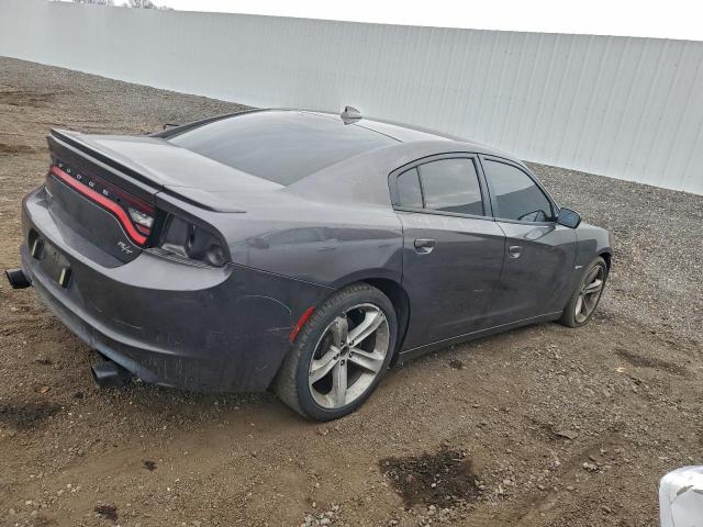 Dodge Charger R/t Image 3