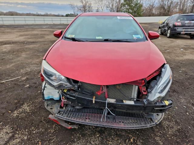 Toyota Corolla L Image 3